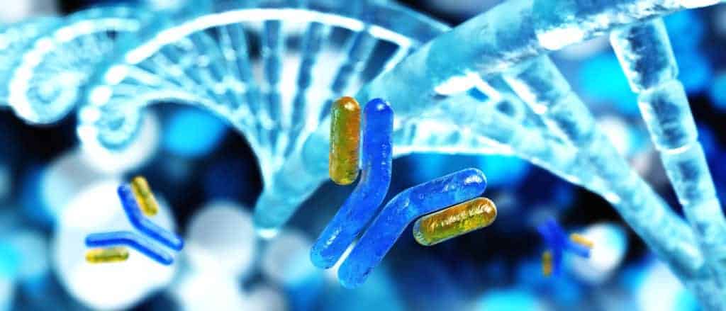 There are two types of Pernicious Anemia antibodies