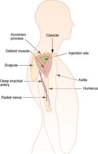 Best Vitamin B12 Injection Sites: Where to Inject B12 · PA Relief