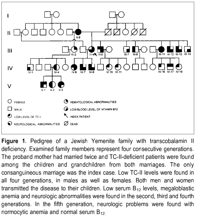The Jewish Yemenite family's bloodline from Valery Teplitsky's study regarding partial transcobalamin-II deficiency.